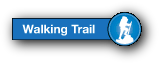 Walking button